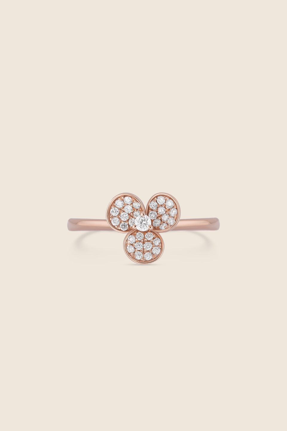 ADRG000813-image-62-Ring-23A-1.jpg