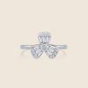 ADRG000814-image-71-Ring-24B-1.jpg