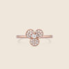ADRG000813-image-62-Ring-23A-1.jpg
