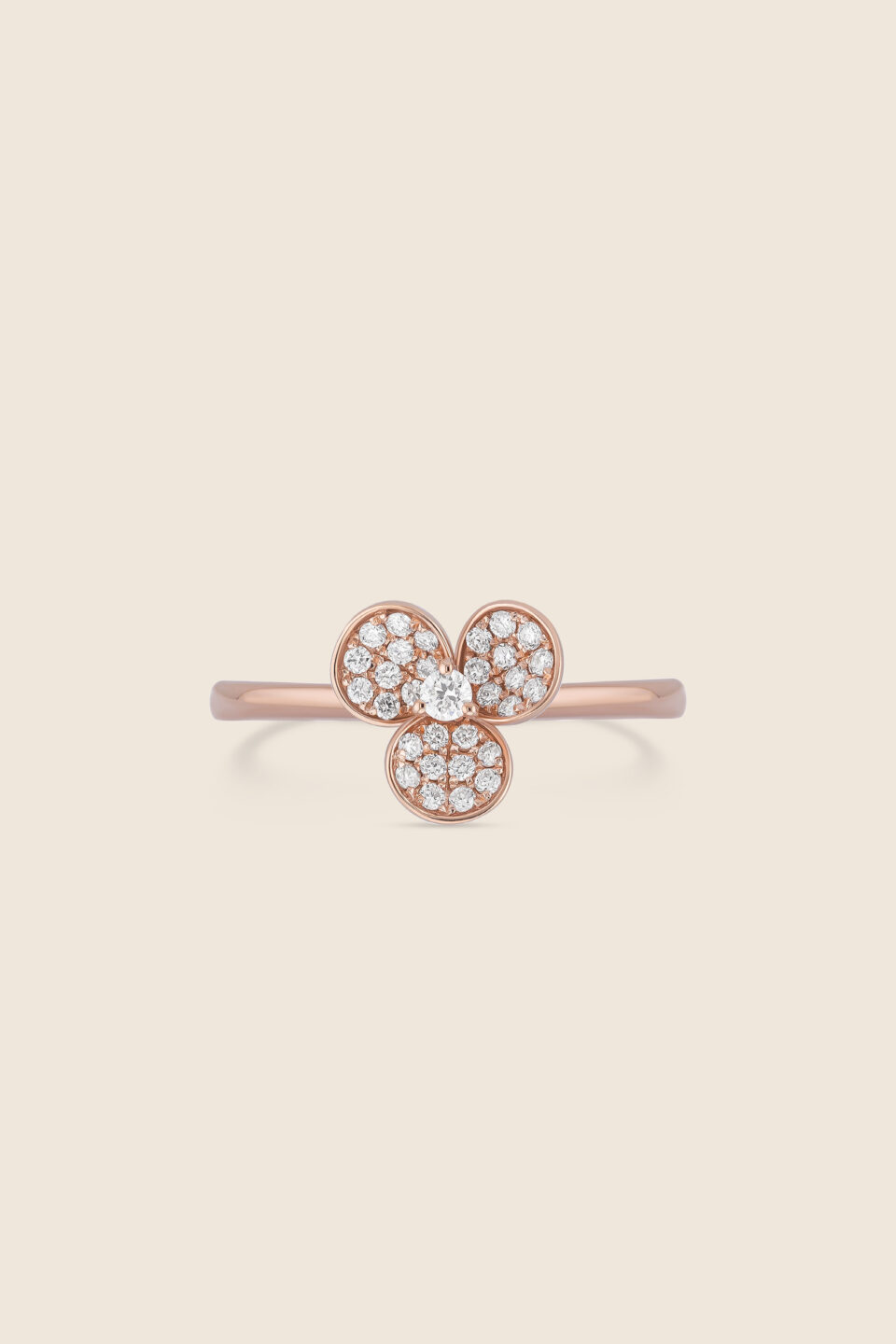 ADRG000813-image-62-Ring-23A-1.jpg